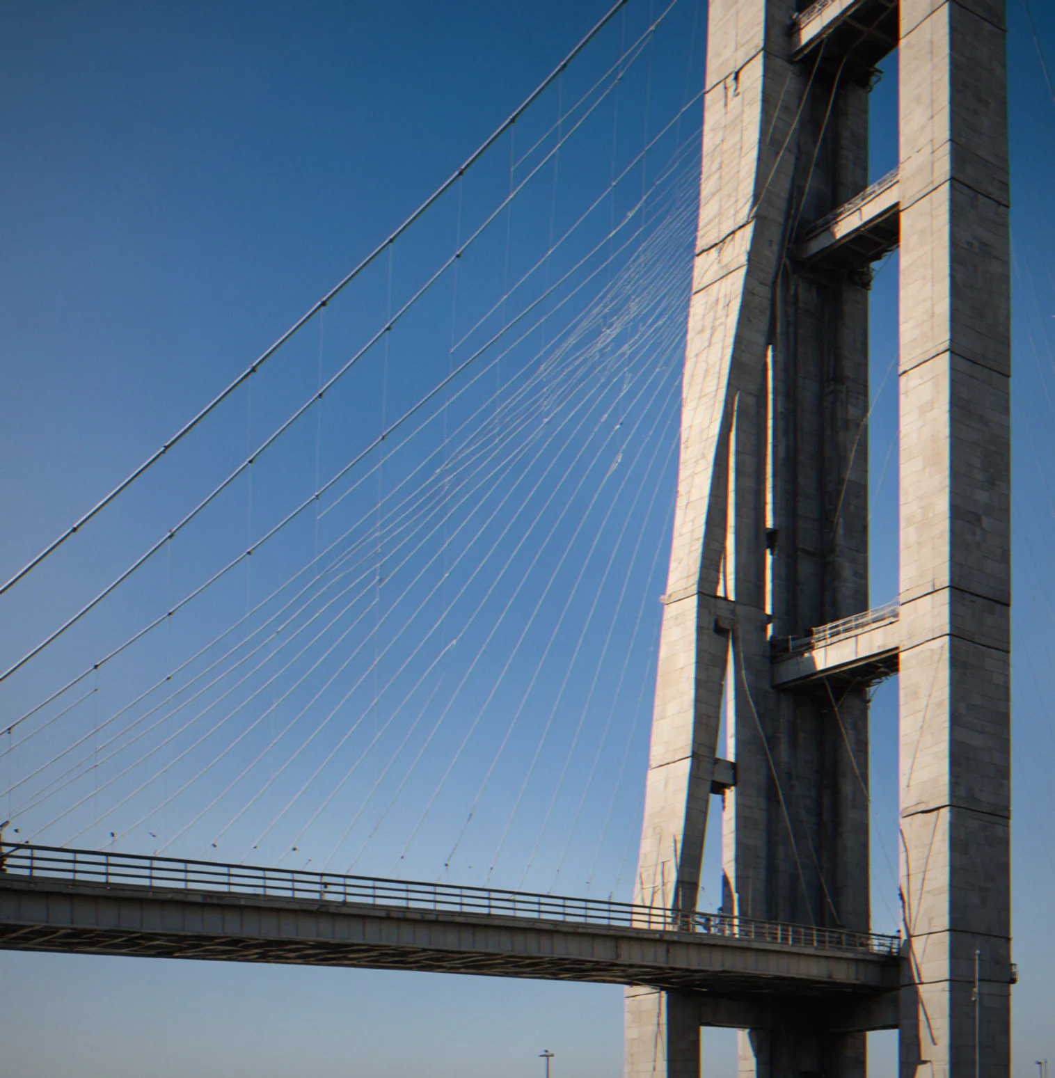 Cantilever column showing lateral deflection curve, critical buckling load marked on load-deflection plot bellow yield threshold